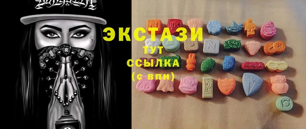 гашик Бежецк