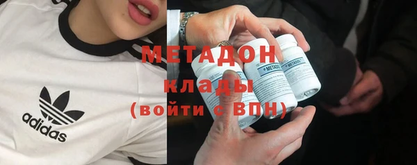 индика Алексин