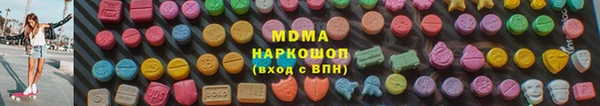 индика Алексин