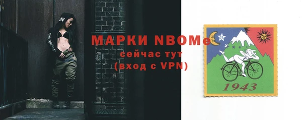 индика Алексин