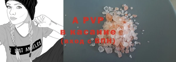 индика Алексин