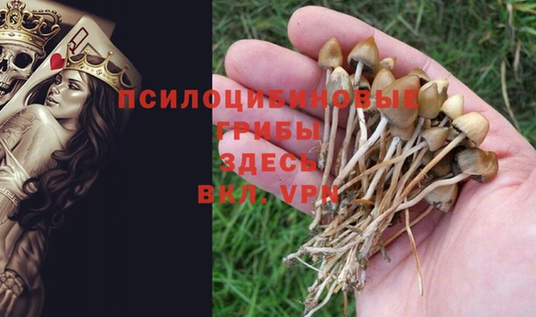 дурь Алексеевка