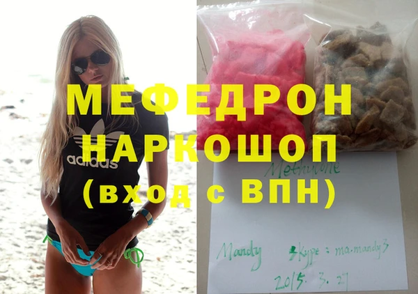 индика Алексин
