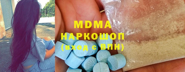 индика Алексин