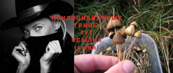 ГАЛЛЮЦИНОГЕННЫЕ ГРИБЫ Белая Холуница